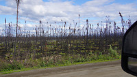 Honeyview_DSC06360