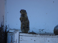 Honeyview_DSC00600