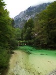 Savica