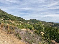 IMG-20220907-WA0042