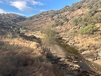 IMG-20220907-WA0037
