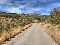 IMG-20220907-WA0036