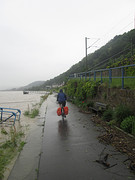 Door de Rijn