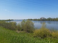 le Loire