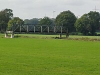 The Bridge