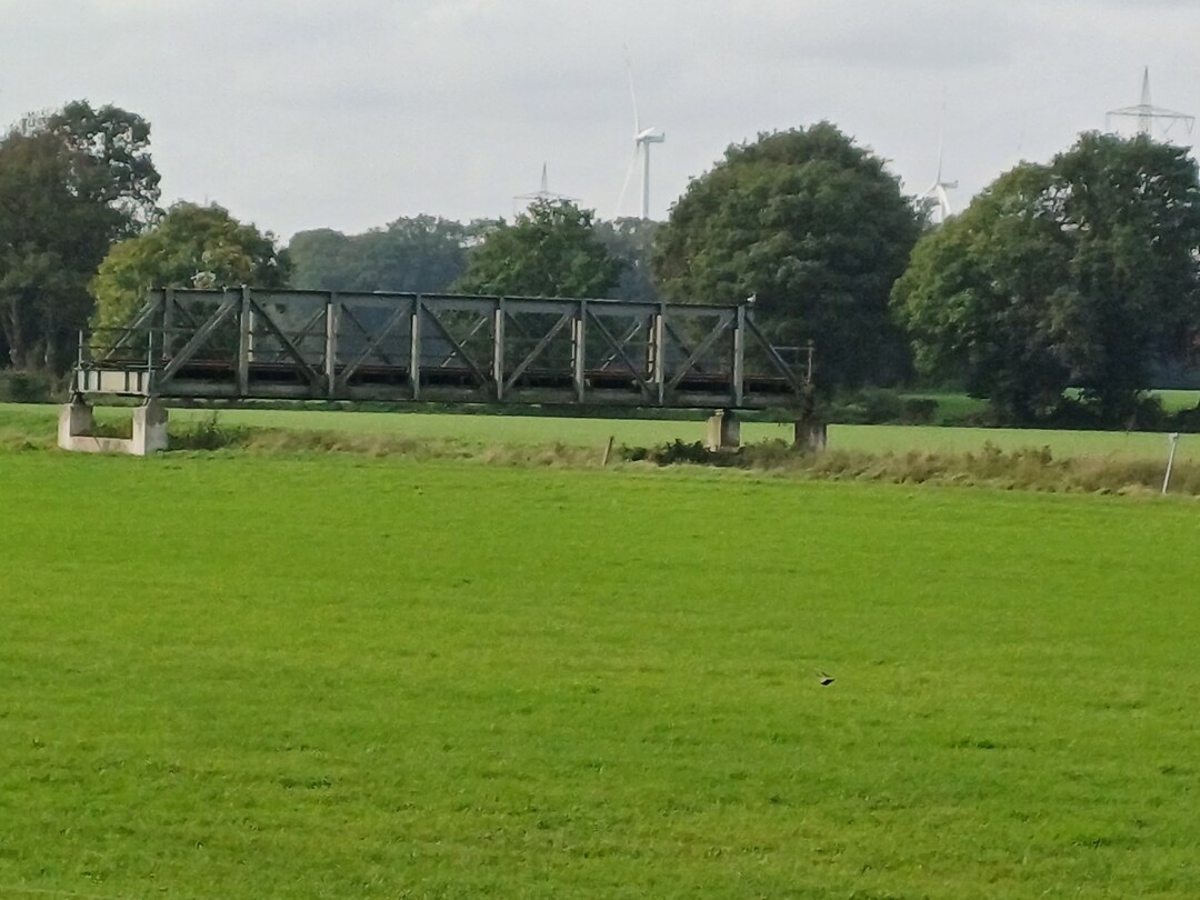 The Bridge