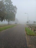 Mist bij de start