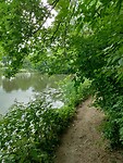 Jaagpad langs de Kromme Rijn