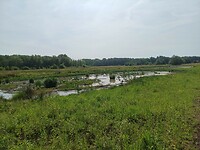 De Kempenroute