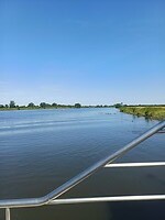 De Maas