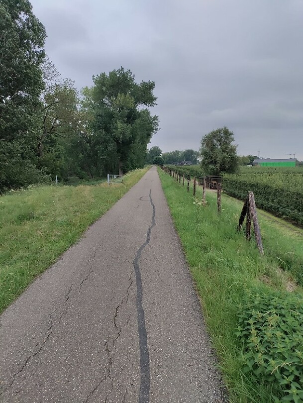 Winterdijk 12e etappe