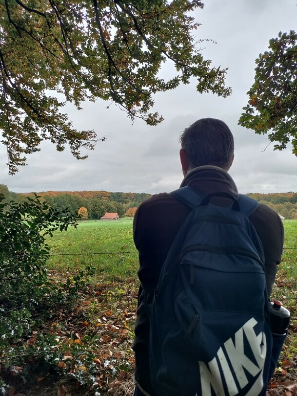 Zicht op pannendak