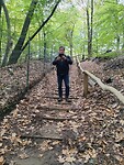 Trappen in het bos