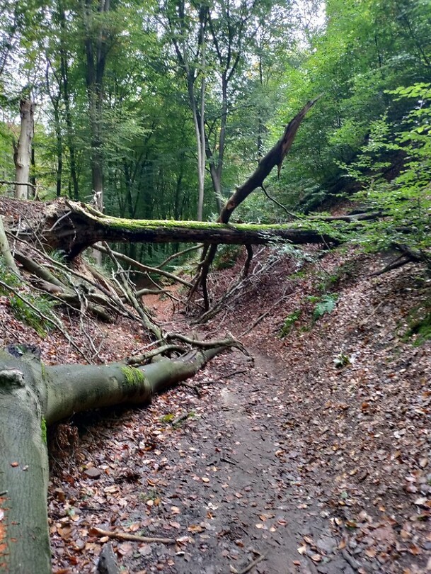 pad bij de 7 heuvelenweg