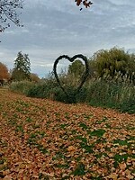 Hart langs de Rijn
