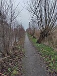 Pad langs de Plas Klein Vogelenzang