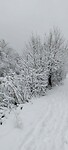winter wonderland 8