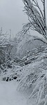 winter wonderland 6