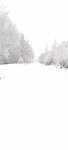 sneeuw