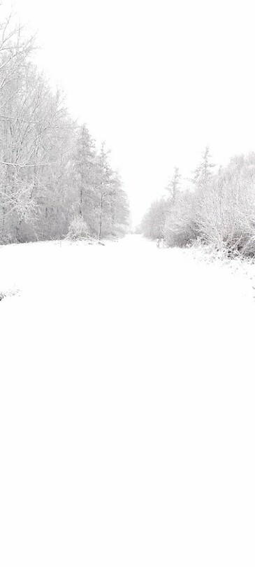 sneeuw