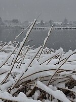Winter wonderland 2