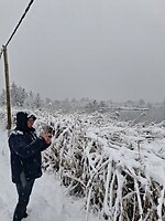 Winter wonderland 1