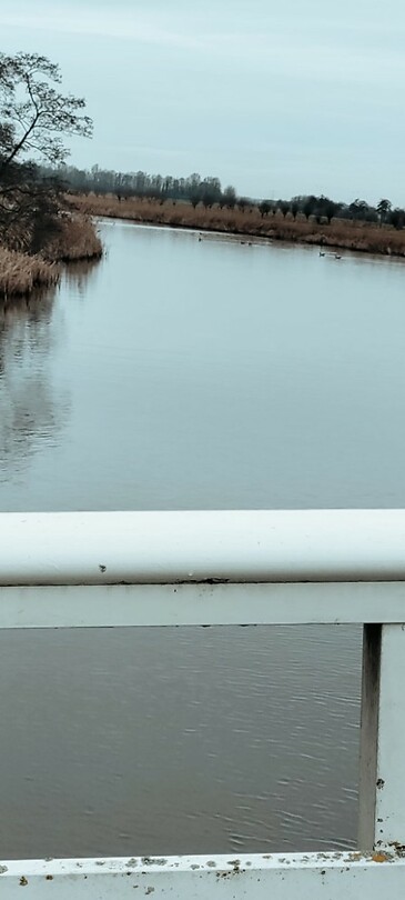 Brug over de Groote- of Achterwaterschap