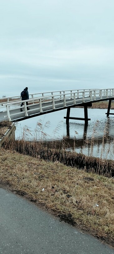 Brug bij De Donk