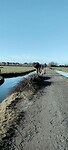 Pad na Hardinxveld Boven