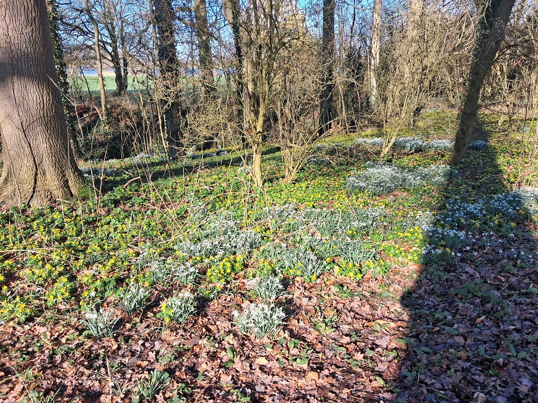 Landgoed Kasteel Nederhemert