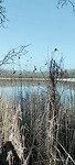 Recreatieplas De Afgraving