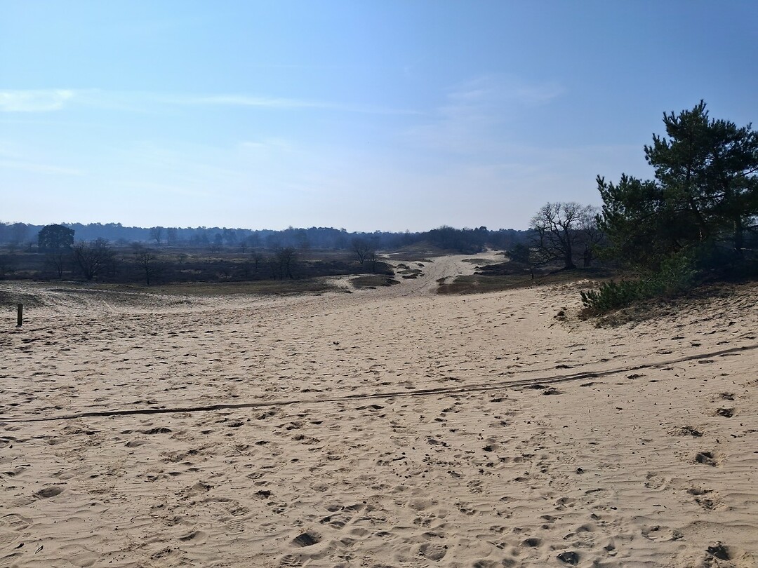 De duinen
