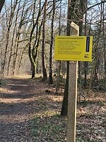 Bord van de Loonse-, en Drunense duinen.