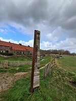 Het begin van het Diemerbos