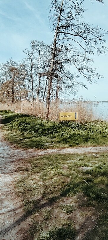 De Spiegelplas