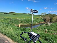 De Maas in wording