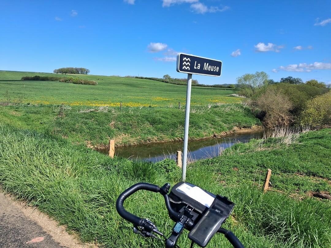 De Maas in wording