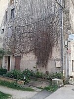 Ingang van mijn app in Bourbonne