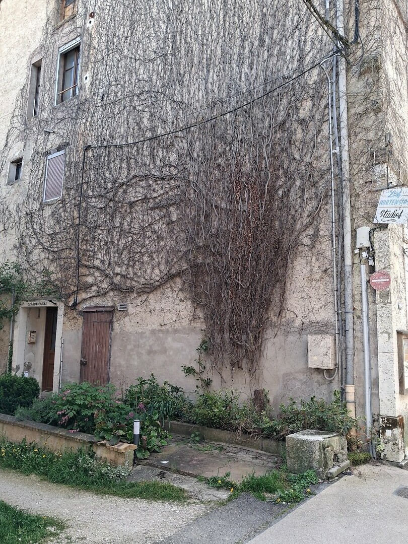 Ingang van mijn app in Bourbonne
