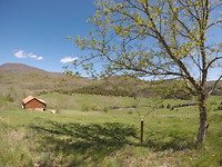 Virginia