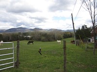 Virginia