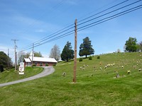 Kerk