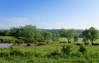 De Ozarks