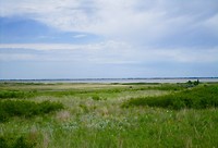 Quivira National wildlife refuge