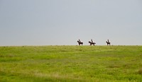Indianen