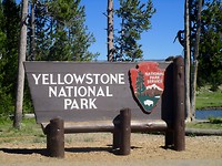 Yellowstone