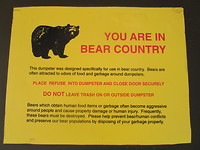 Yellowstone