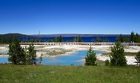Yellowstone
