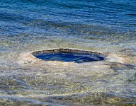 Yellowstone