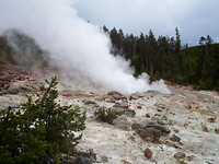 Yellowstone